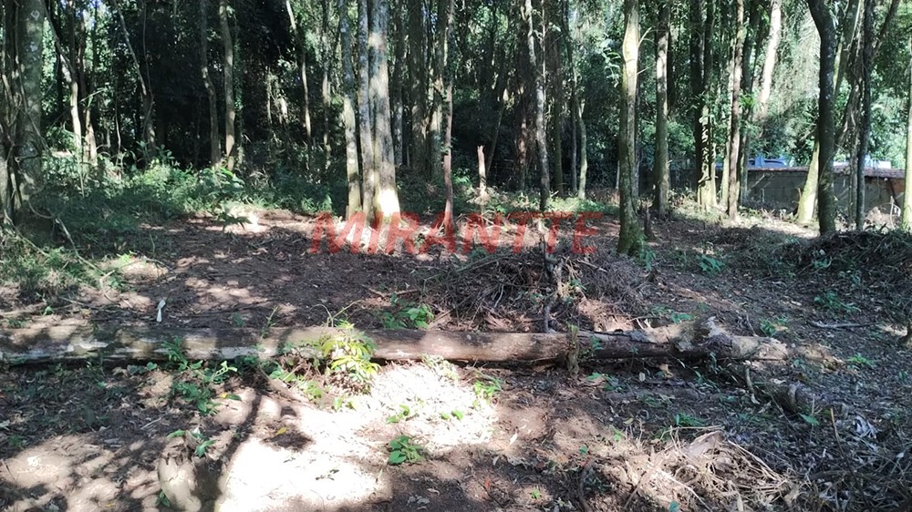 Terreno de 1300m² em Santa Ines