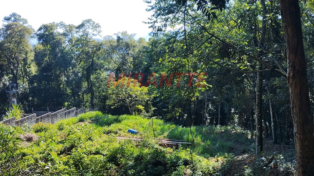 Terreno de 1300m² em Santa Ines