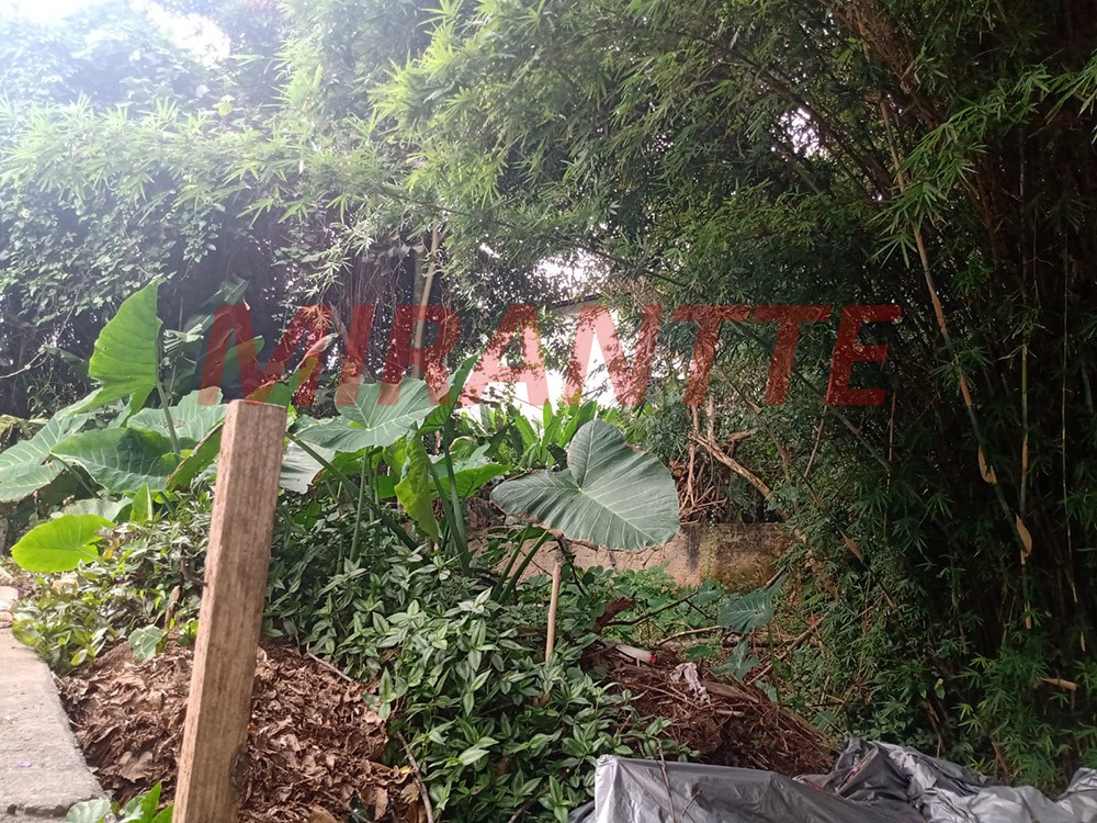 Terreno de 580m² em Horto Florestal