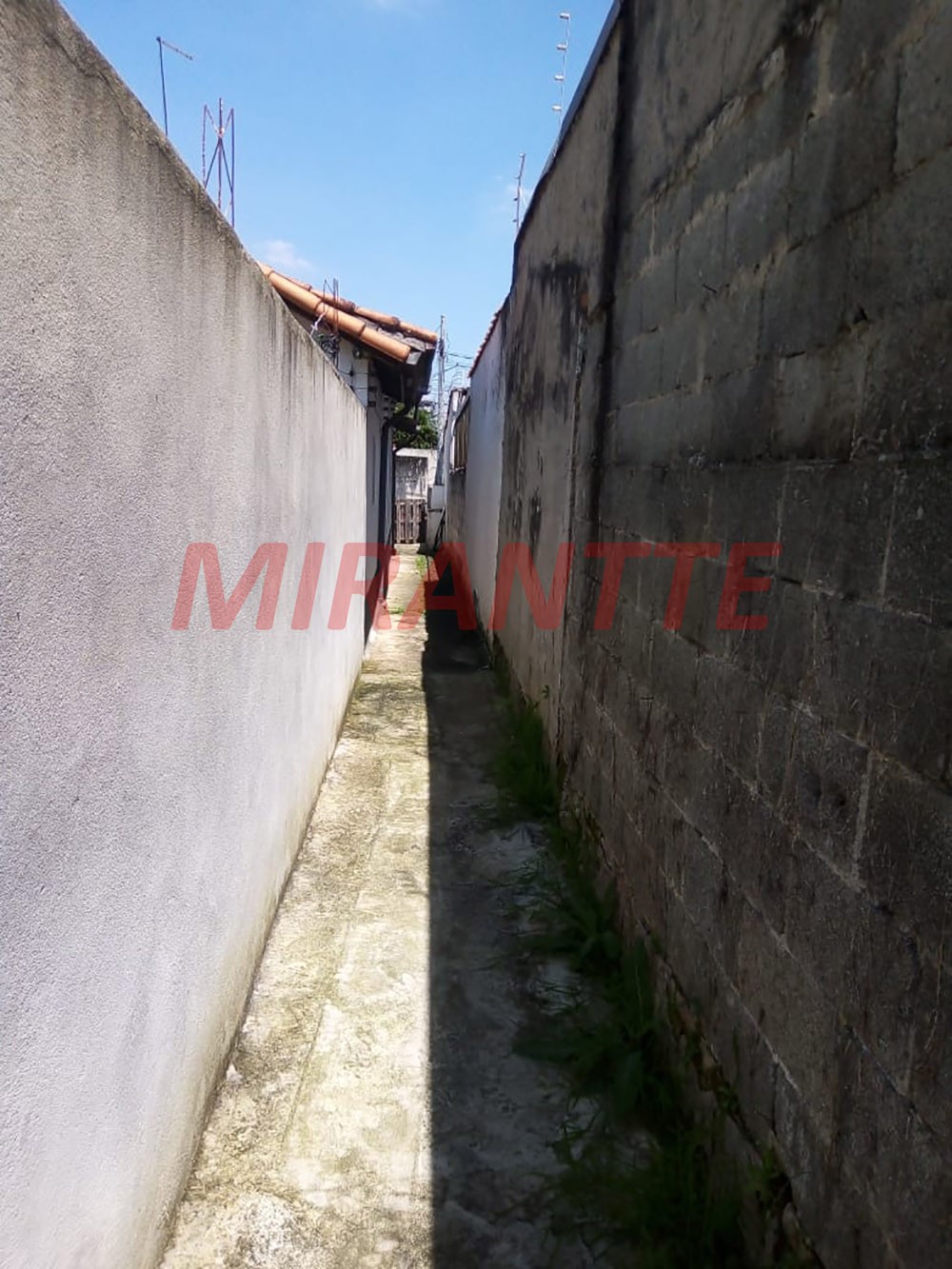 Casa terrea de 160m² com 3 quartos em Vila Albertina