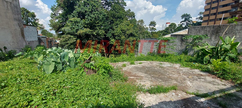 Terreno de 826m² em Jardim Floresta
