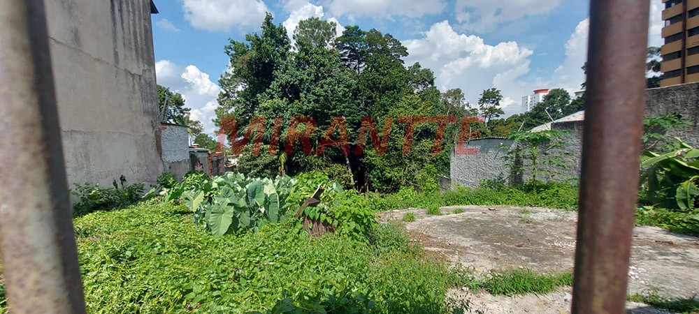 Terreno de 826m² em Jardim Floresta
