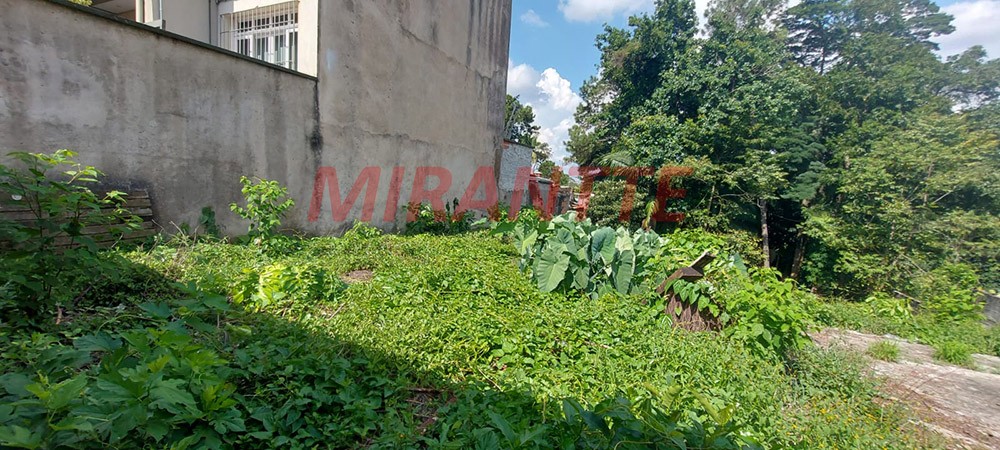 Terreno de 826m² em Jardim Floresta