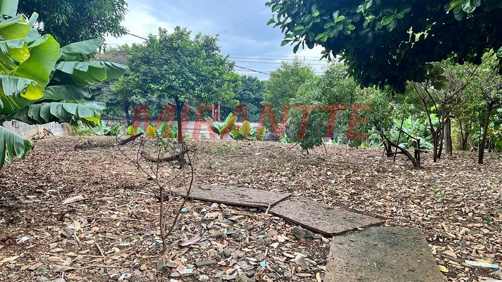 Terreno de 1528m² em Parque Cisper