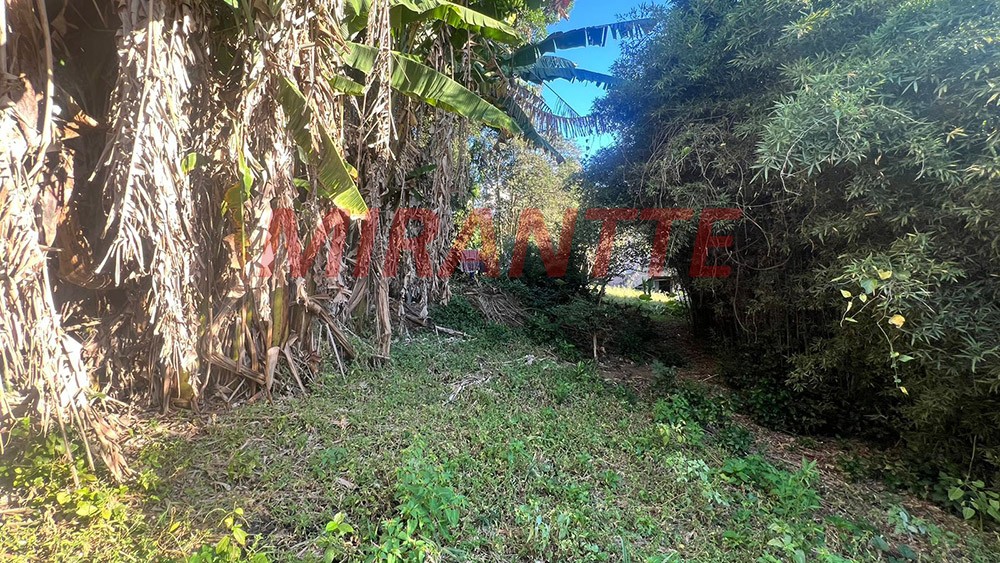 Terreno de 450m² em Tucuruvi
