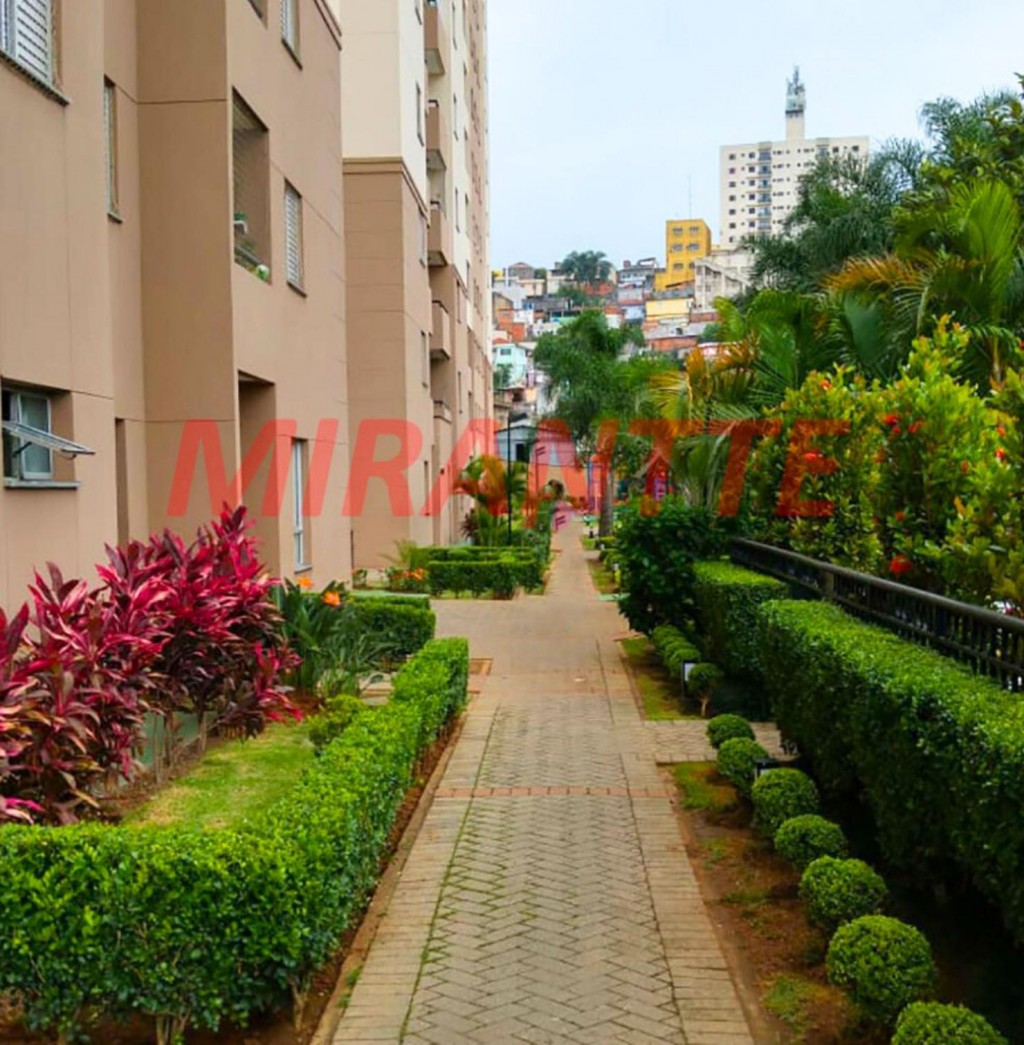 Apartamento de 48m² com 2 quartos em Vila Roque