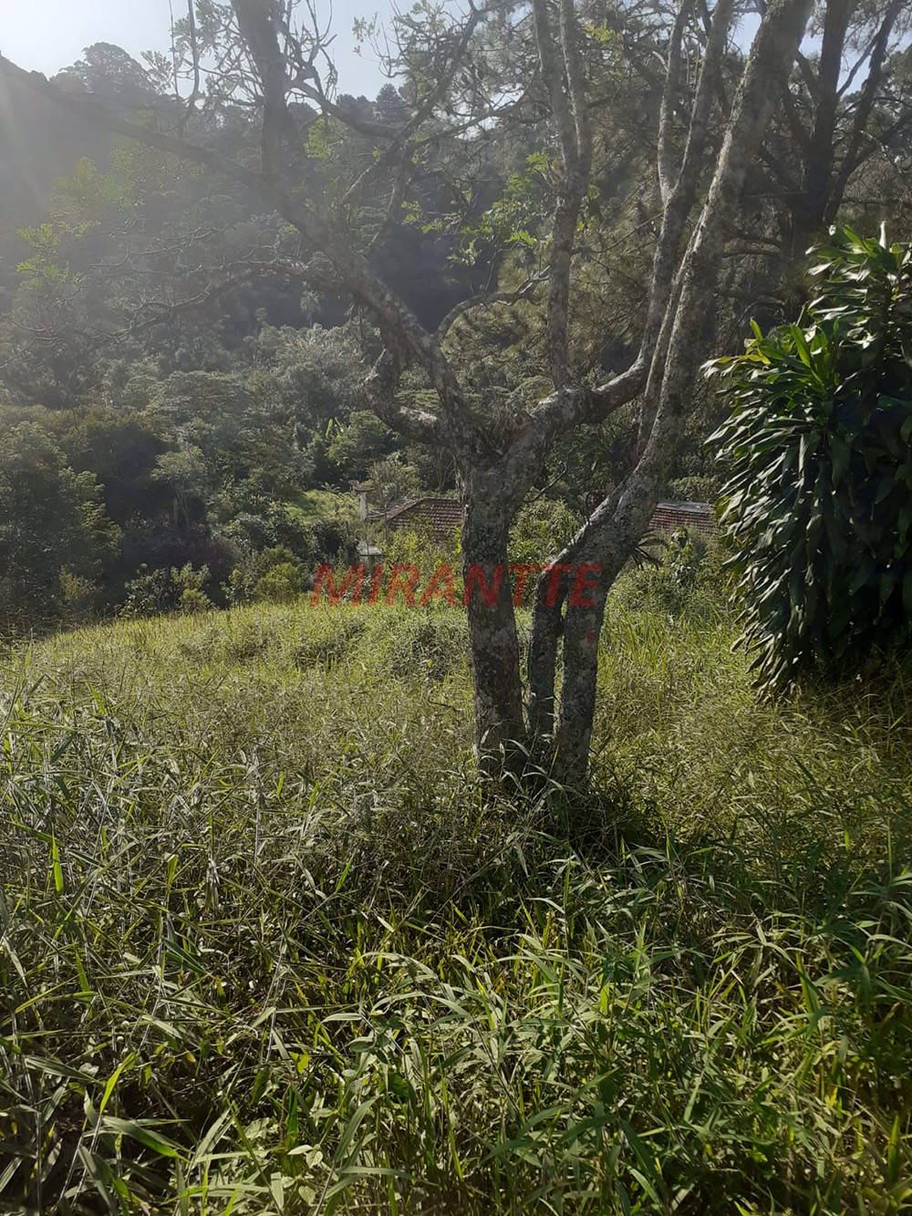 Terreno de 57m² em PARQUE PETROPOLIS