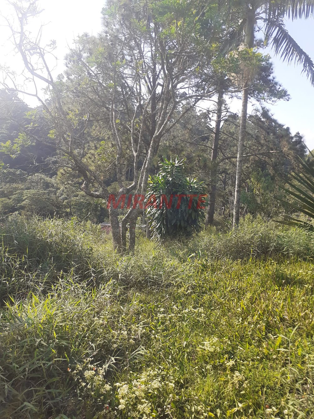 Terreno de 57m² em PARQUE PETROPOLIS
