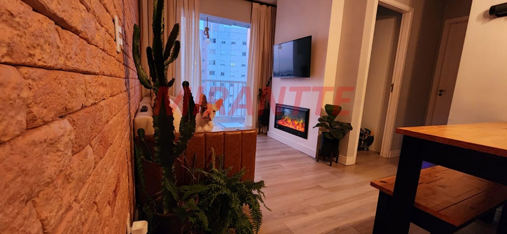 Apartamento com 2 quartos em Jardim Pirituba