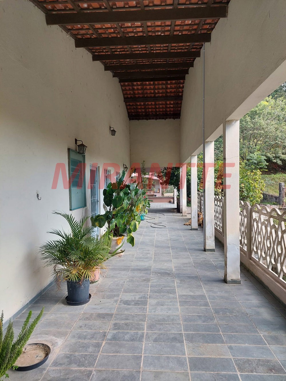 ChÁcara de 72000m² com 3 quartos em RECANTO SÃO RAFAEL