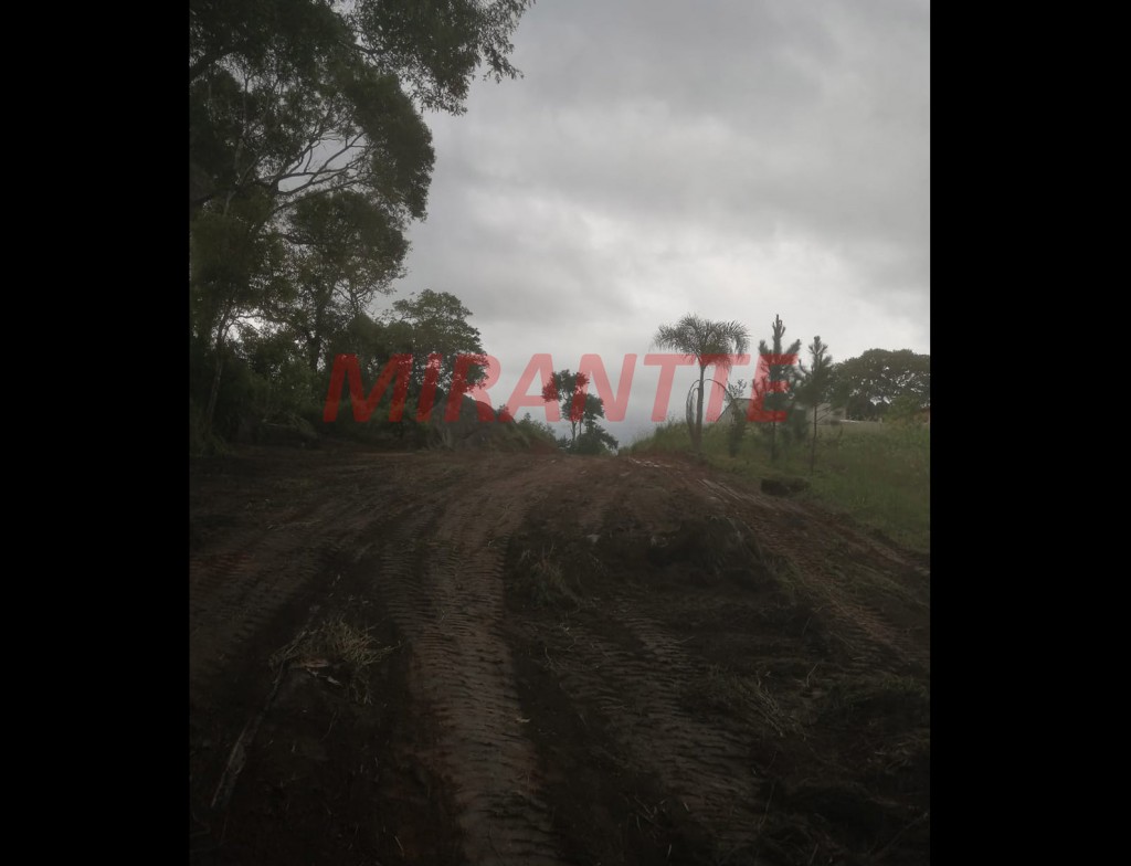 R2 Image 253175 #2