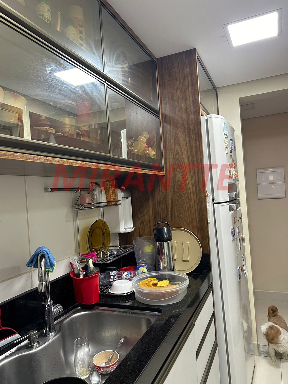 Apartamento de 67m² com 3 quartos em Jaçana