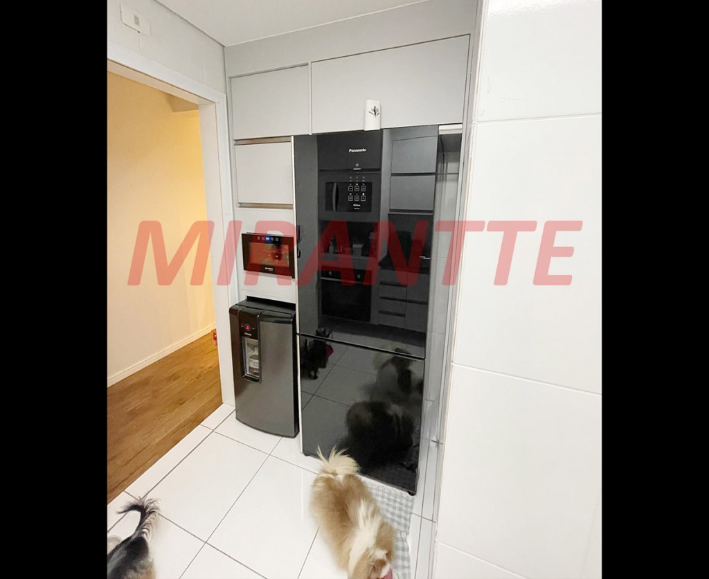 Apartamento com 2 quartos em Vila Guilherme