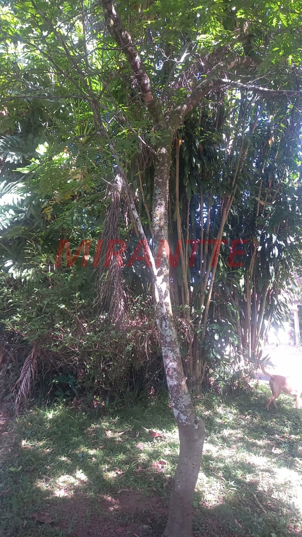 Galpao de 948m² em Cachoeira