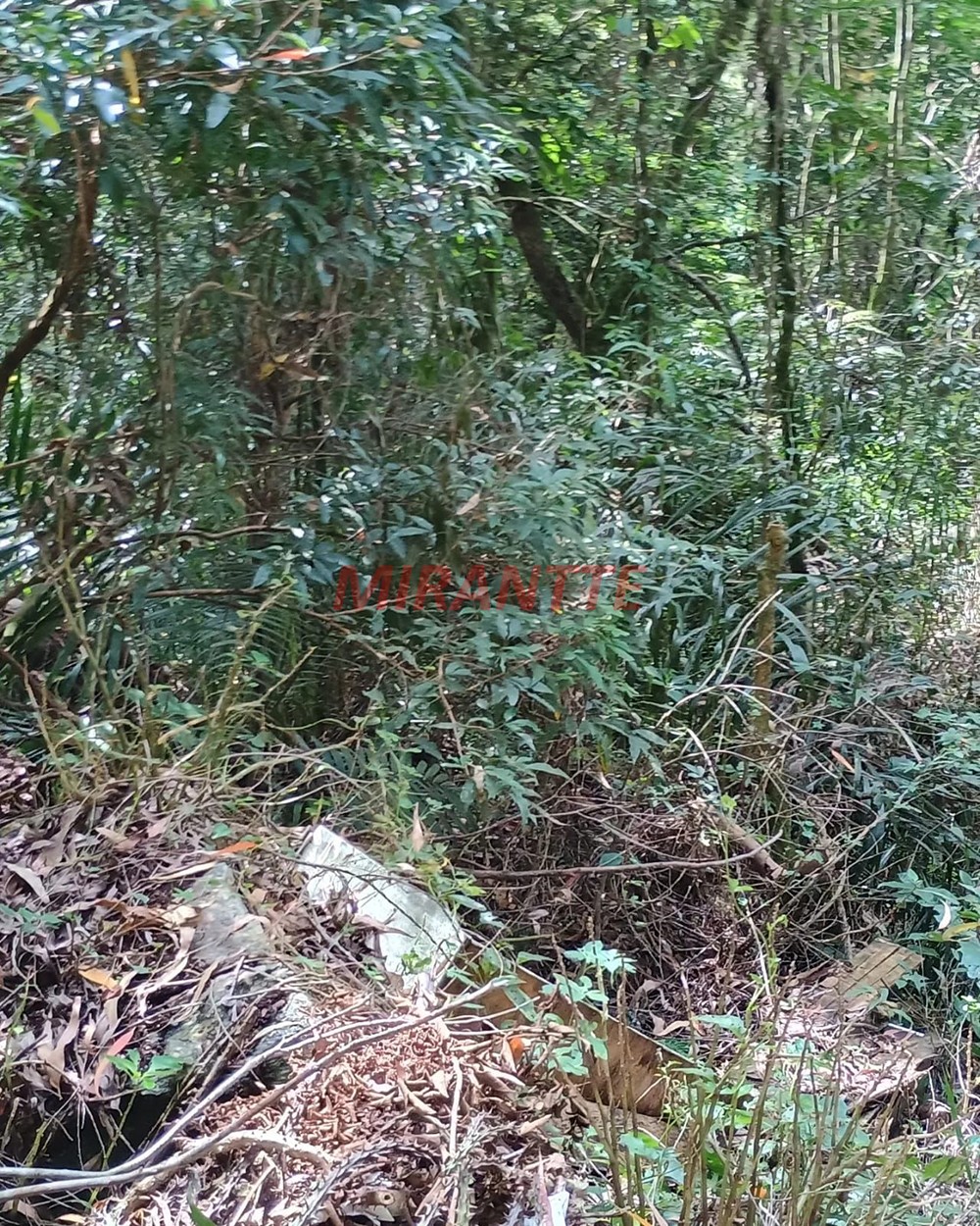 Terreno de 1.25m² em Serra Da Cantareira