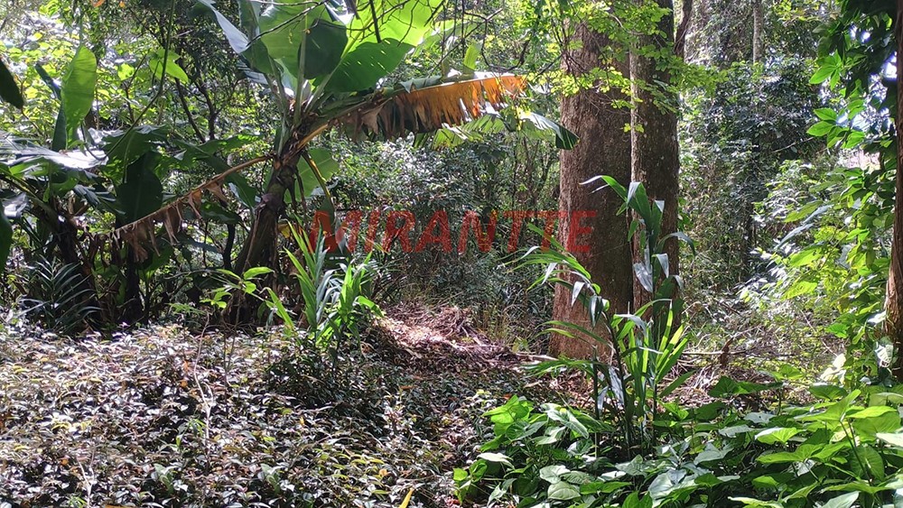 Terreno de 1.25m² em Serra Da Cantareira