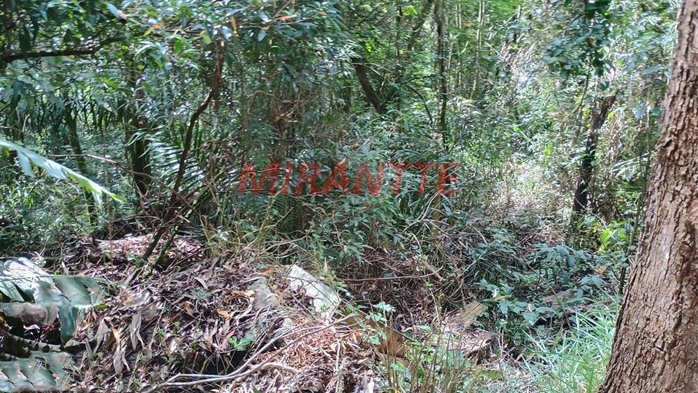 Terreno de 1.25m² em Serra Da Cantareira