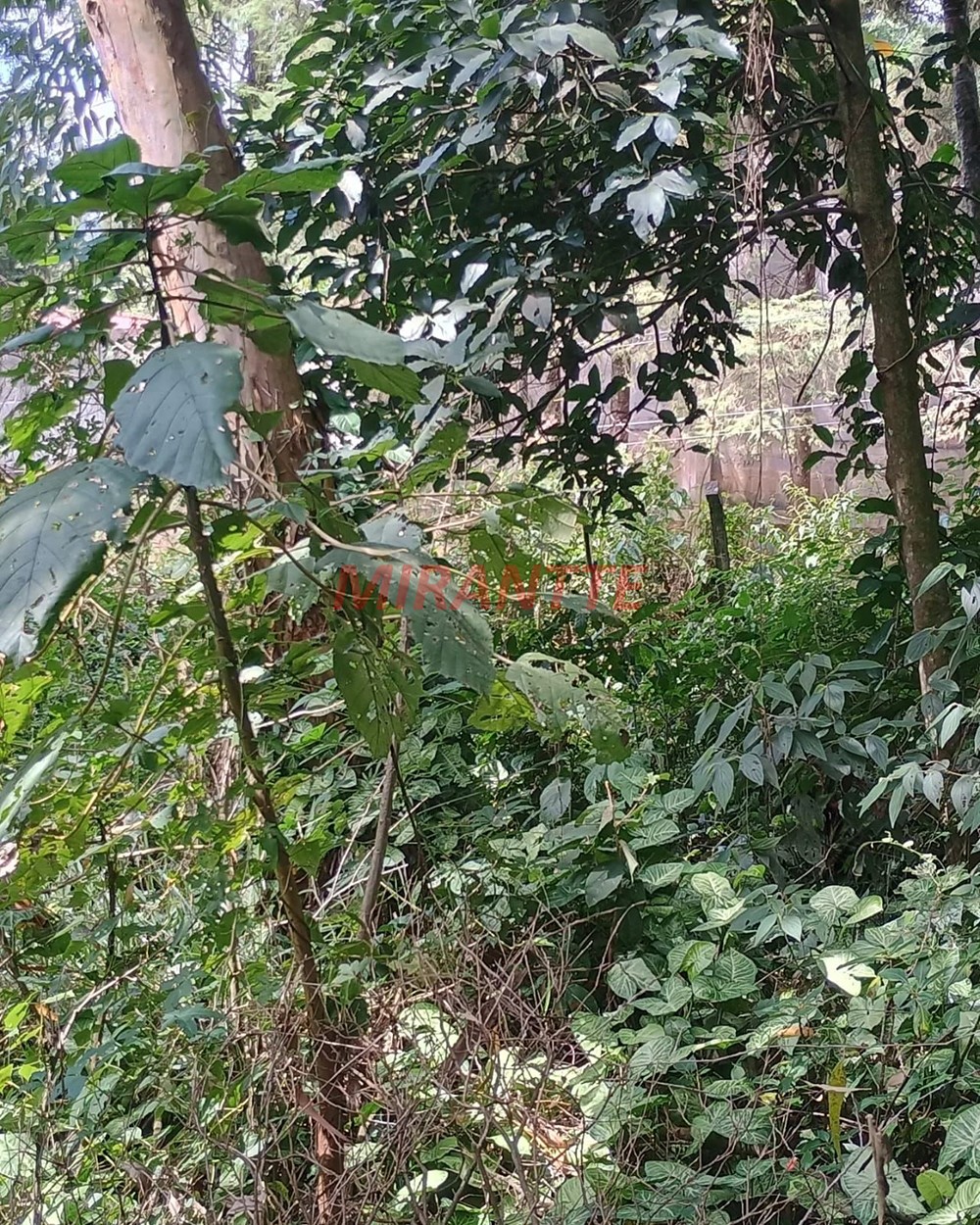 Terreno de 1.25m² em Serra Da Cantareira