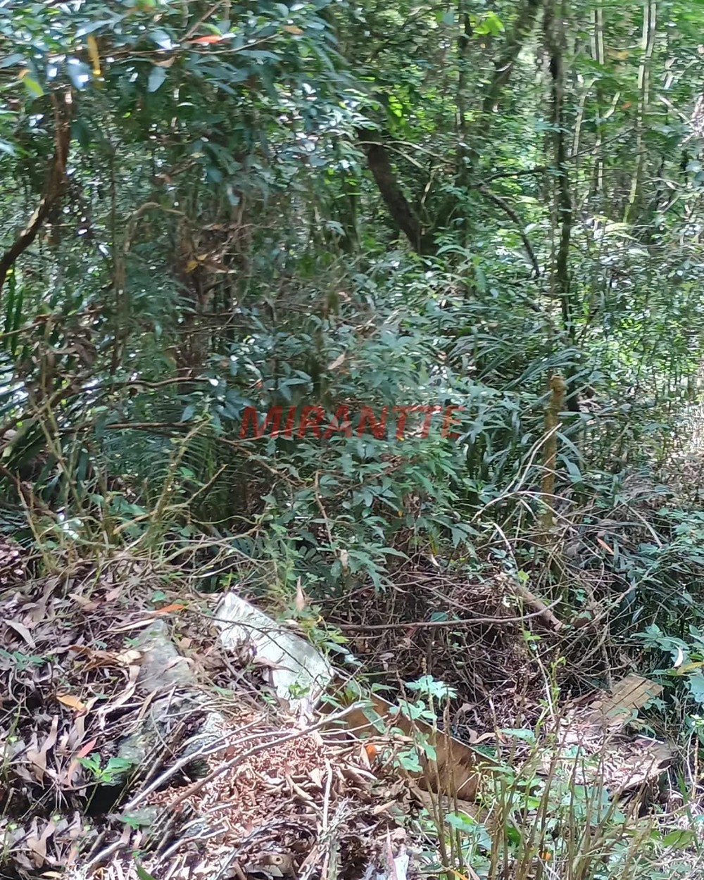 Terreno de 1.25m² em Serra Da Cantareira