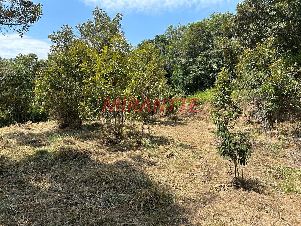 Terreno de 1500m² em Terra Preta