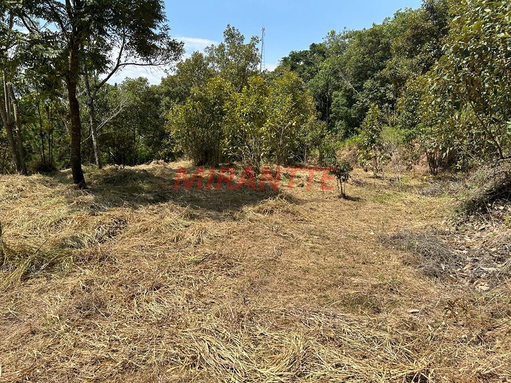 Terreno de 1500m² em Terra Preta