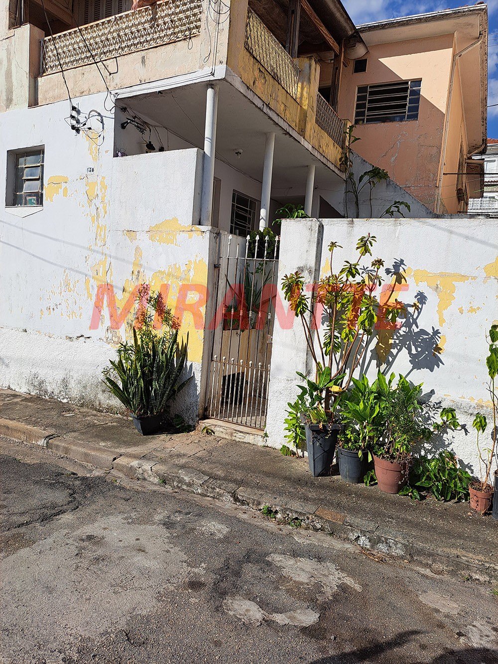 Casa terrea de 145m² com 3 quartos em Tucuruvi