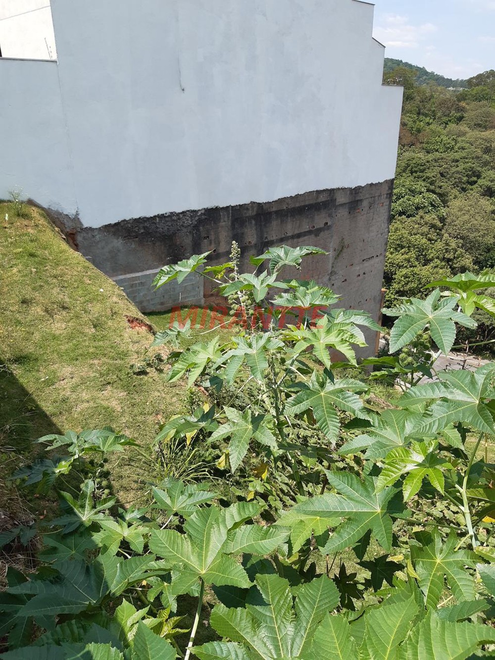 Terreno de 295m² em Vila Albertina