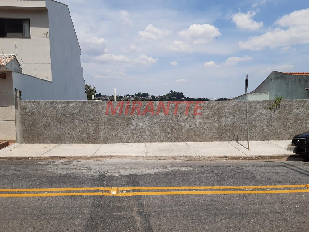 Terreno de 295m² em Vila Albertina