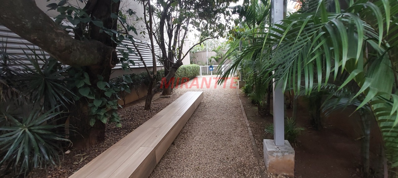Apartamento de 62m² com 2 quartos em Vila Guilherme