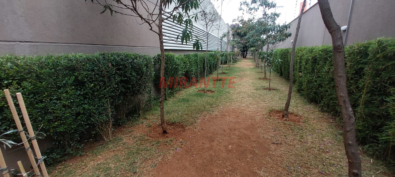 Apartamento de 62m² com 2 quartos em Vila Guilherme