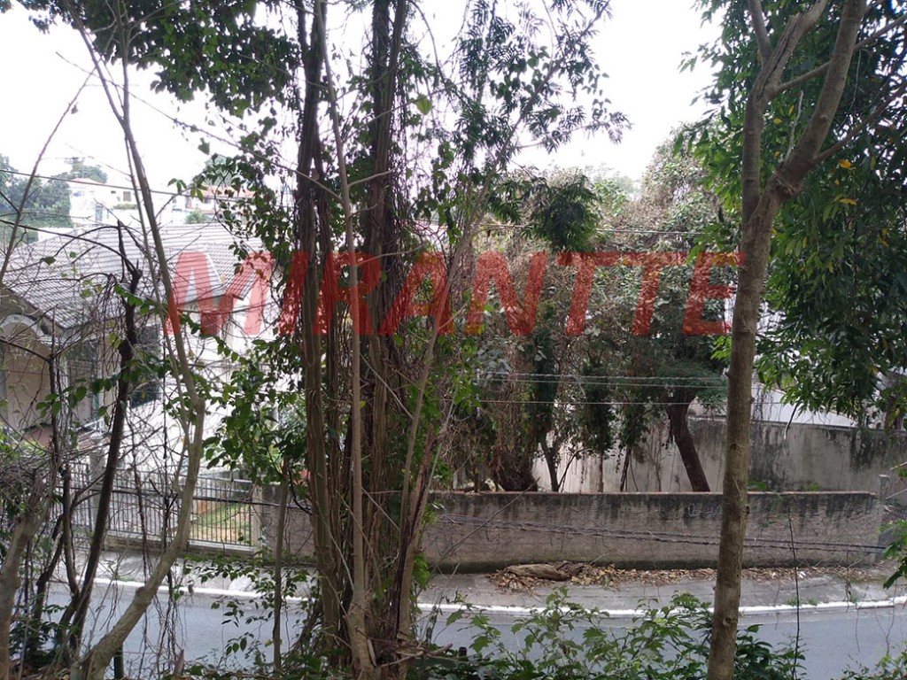 Terreno de 401m² em Vila Albertina