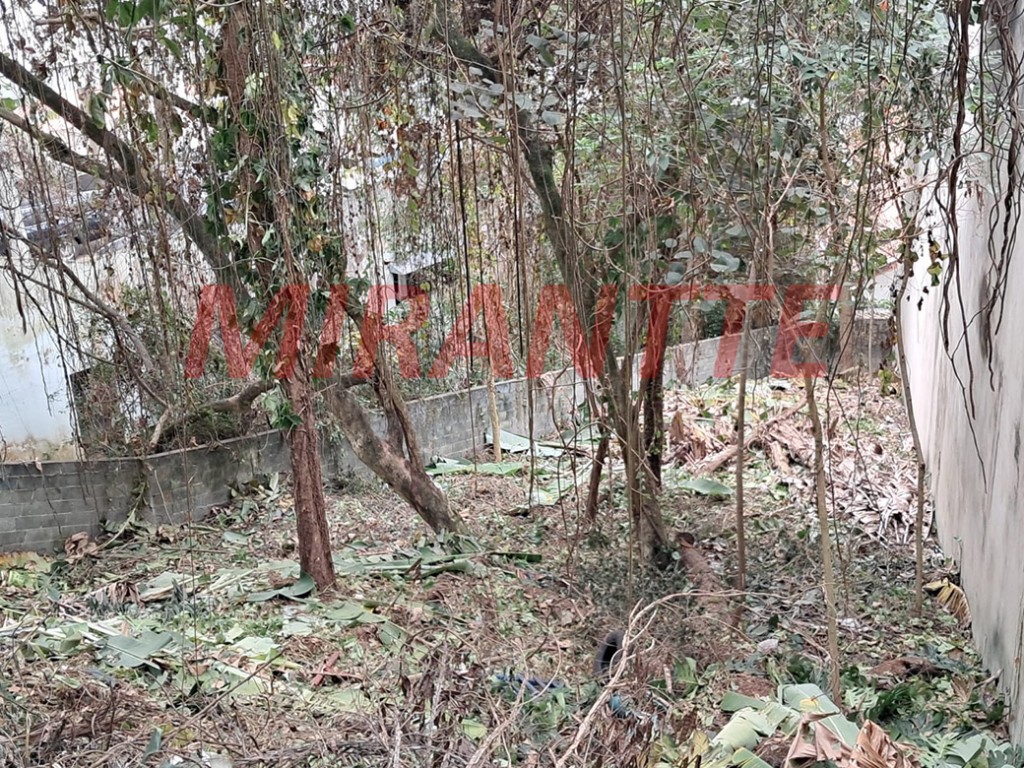 Terreno de 401m² em Vila Albertina