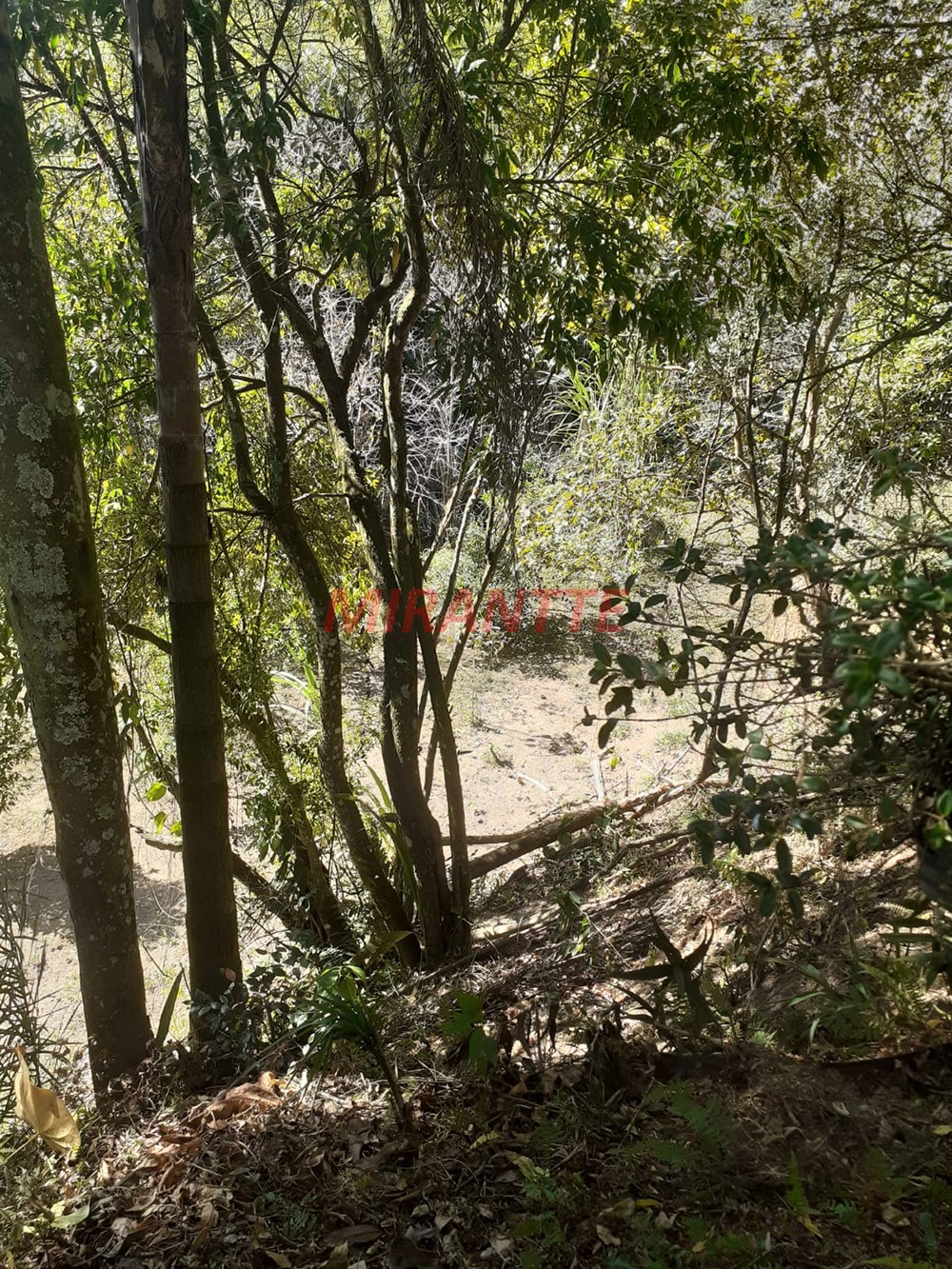 ChÁcara de 250m² com 3 quartos em PARQUE PETROPOLIS