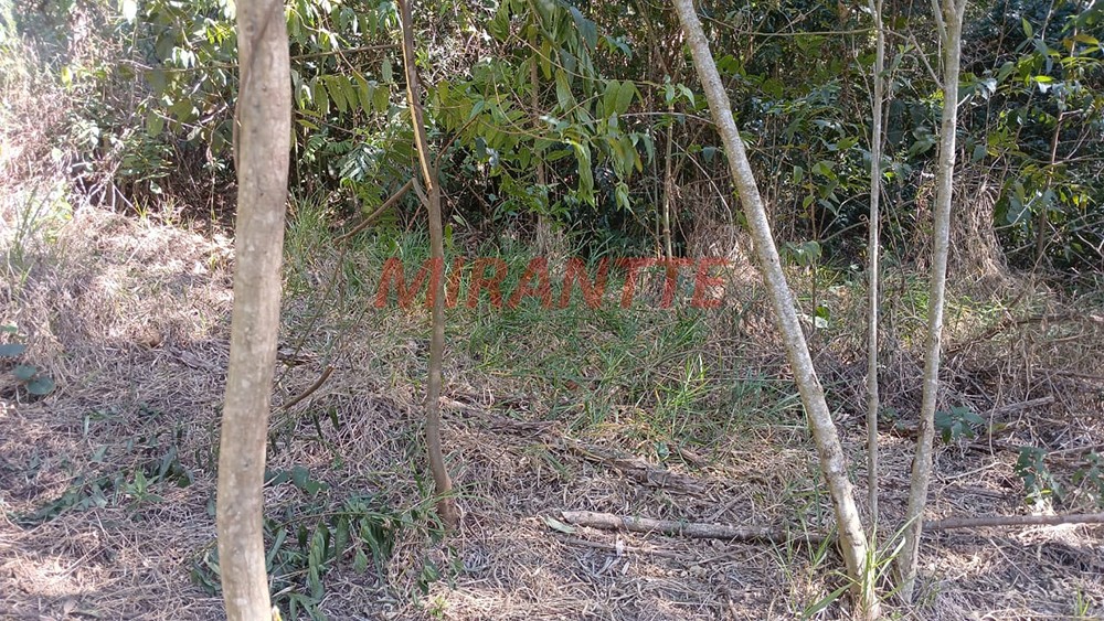 Terreno de 1.176m² em Serra Da Cantareira