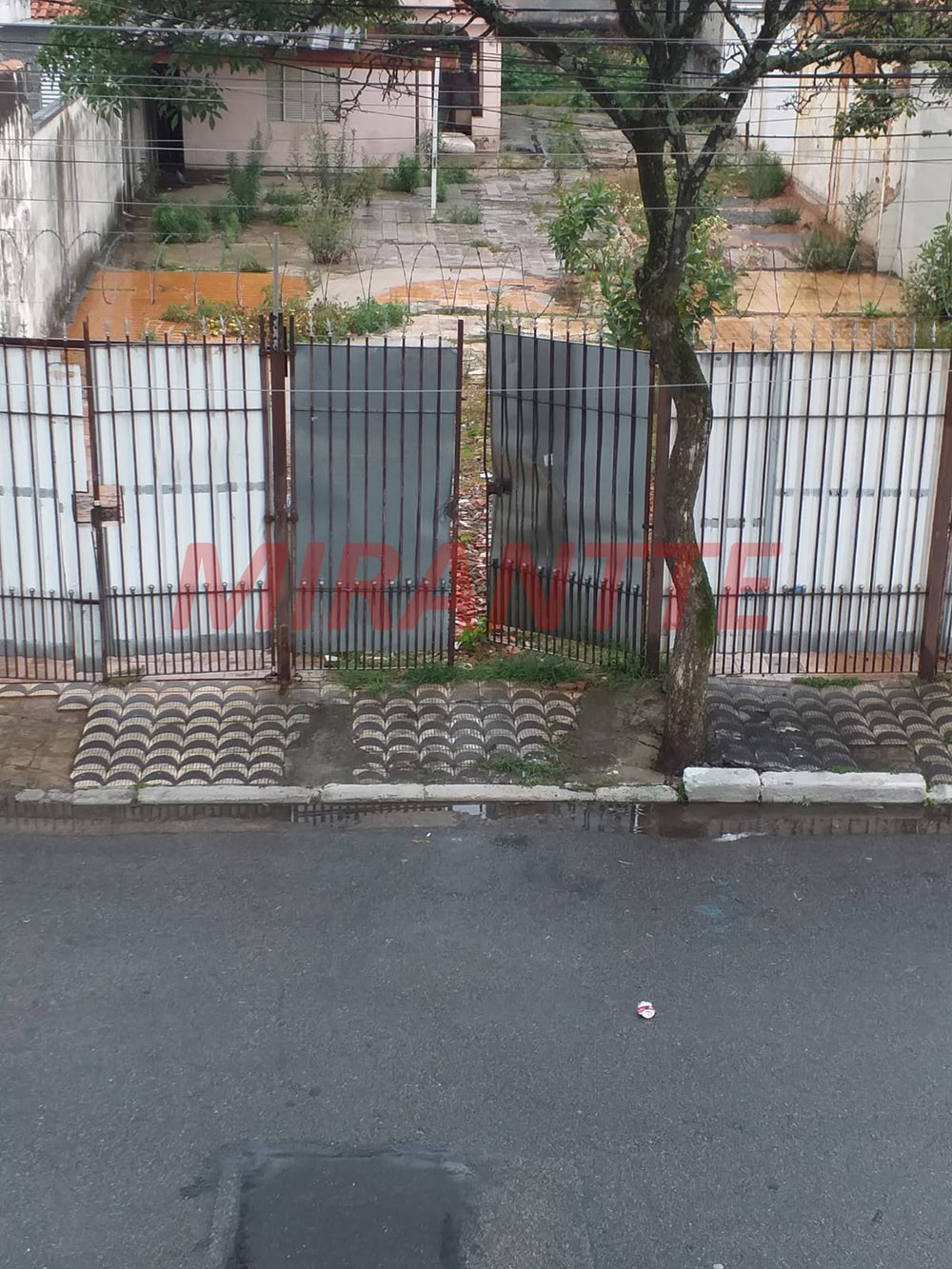 Terreno de 471m² em Parque Edu Chaves