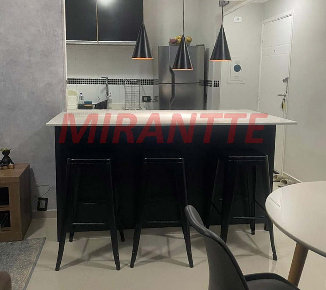 Apartamento de 50m² com 2 quartos em Parque Mandaqui