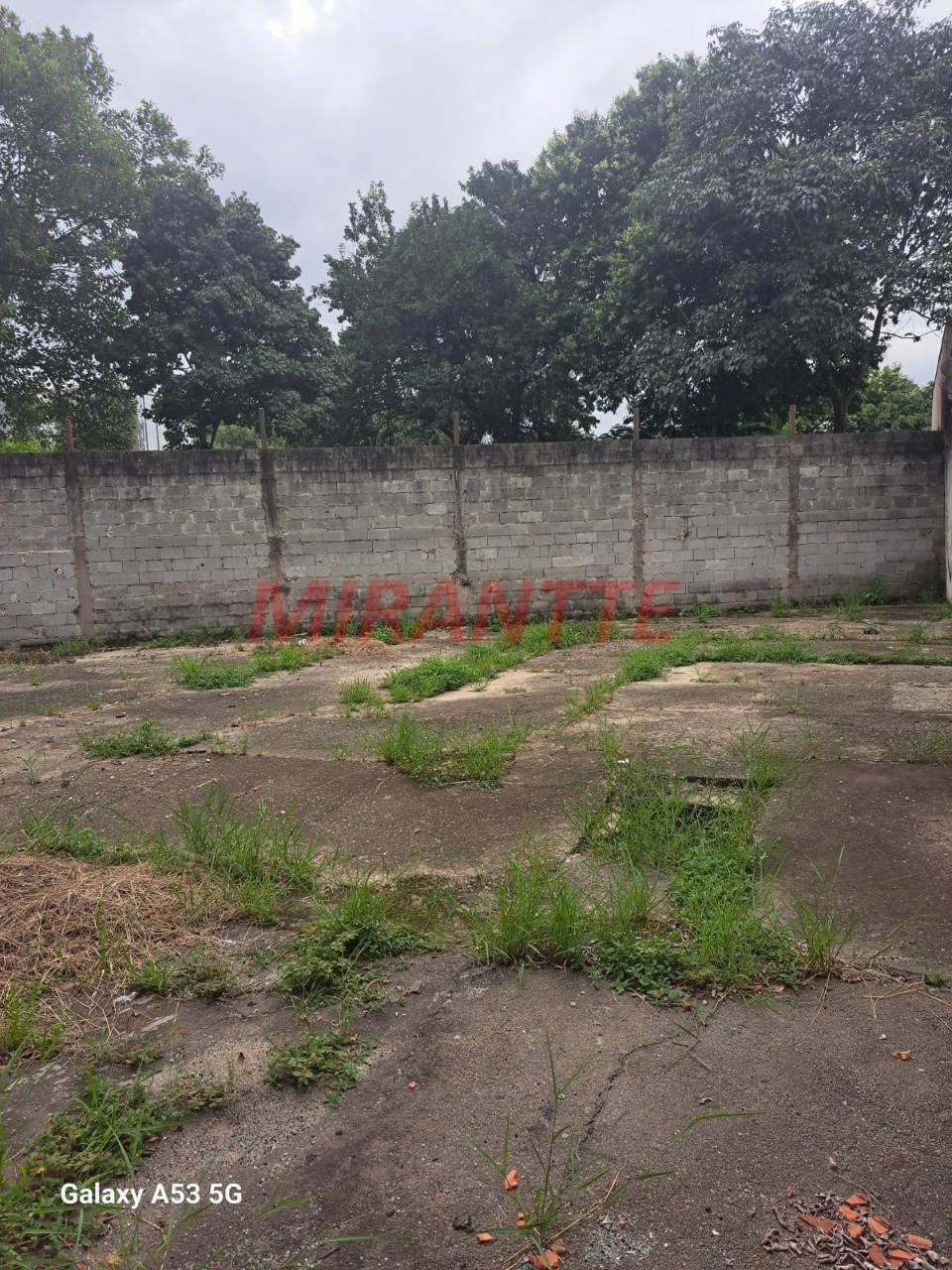 R2 Image 276988 #3