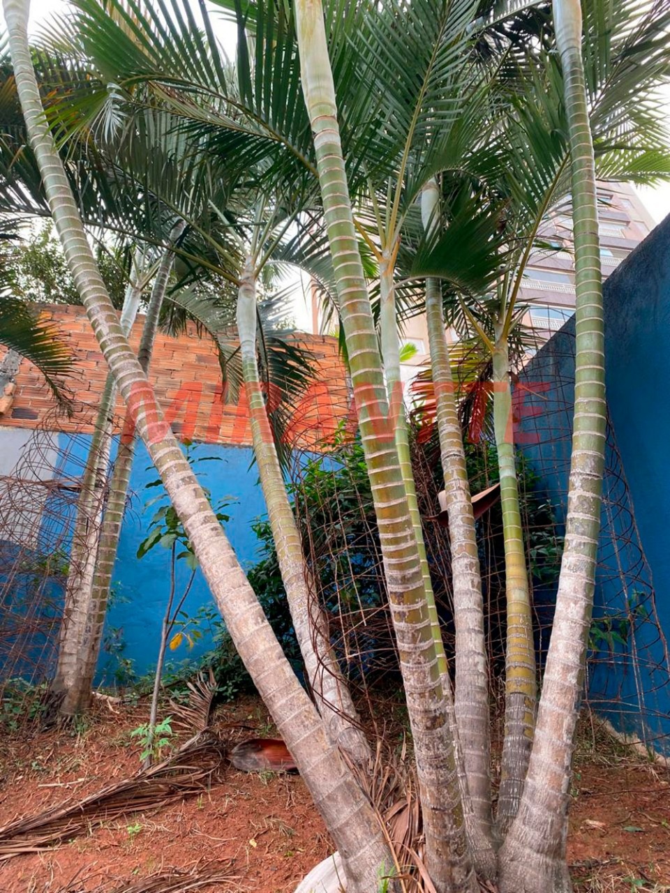 Sobrado de 174m² com 3 quartos em Parada Inglesa