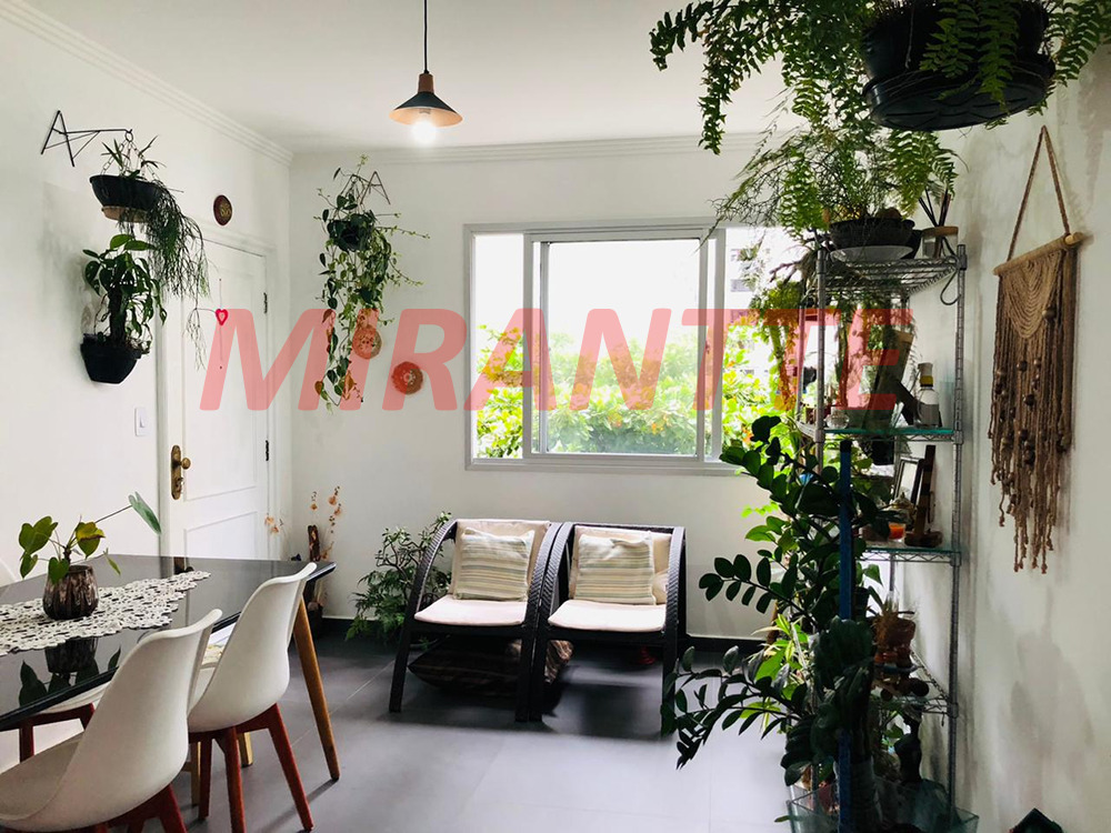 Apartamento com 3 quartos em Itarare