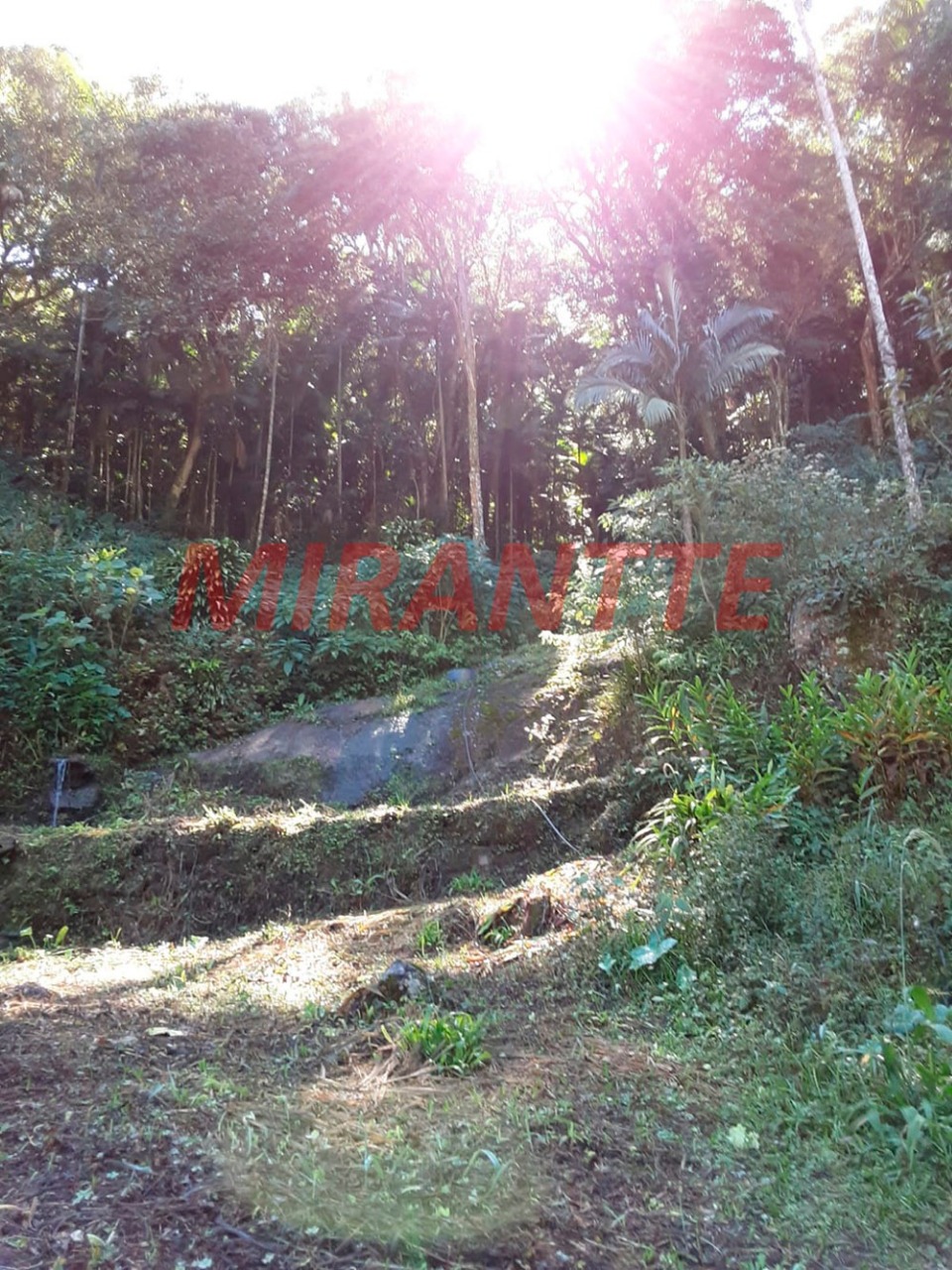 Terreno de 0m² em Serra da Cantareira