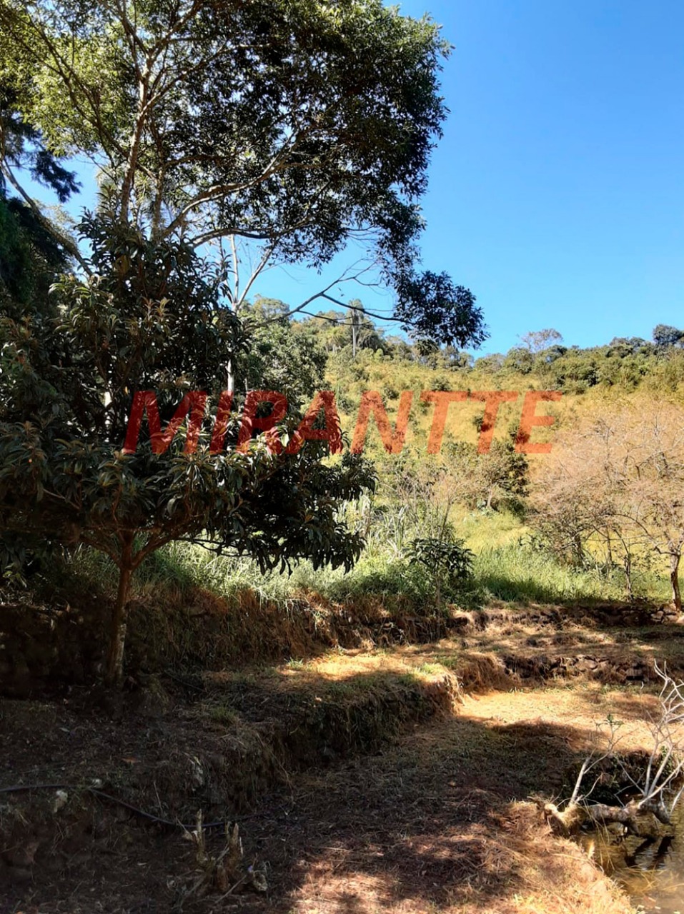 Terreno de 0m² em Serra da Cantareira