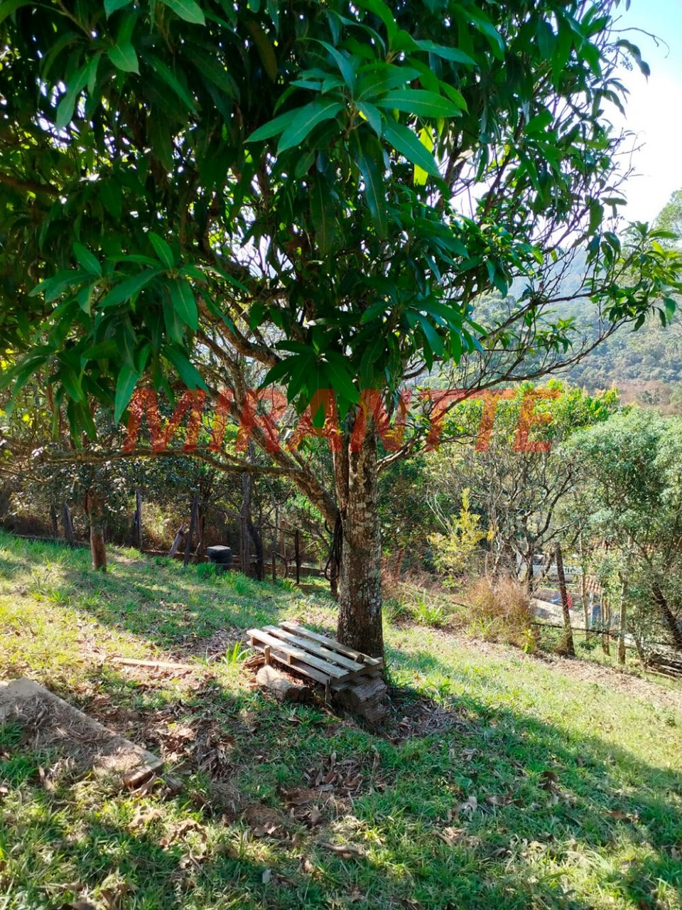 Casa terrea de 221.5m² com 3 quartos em parque cerros verdes