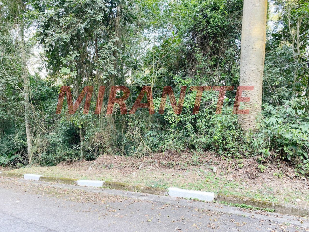 Terreno de m² em parque suiça