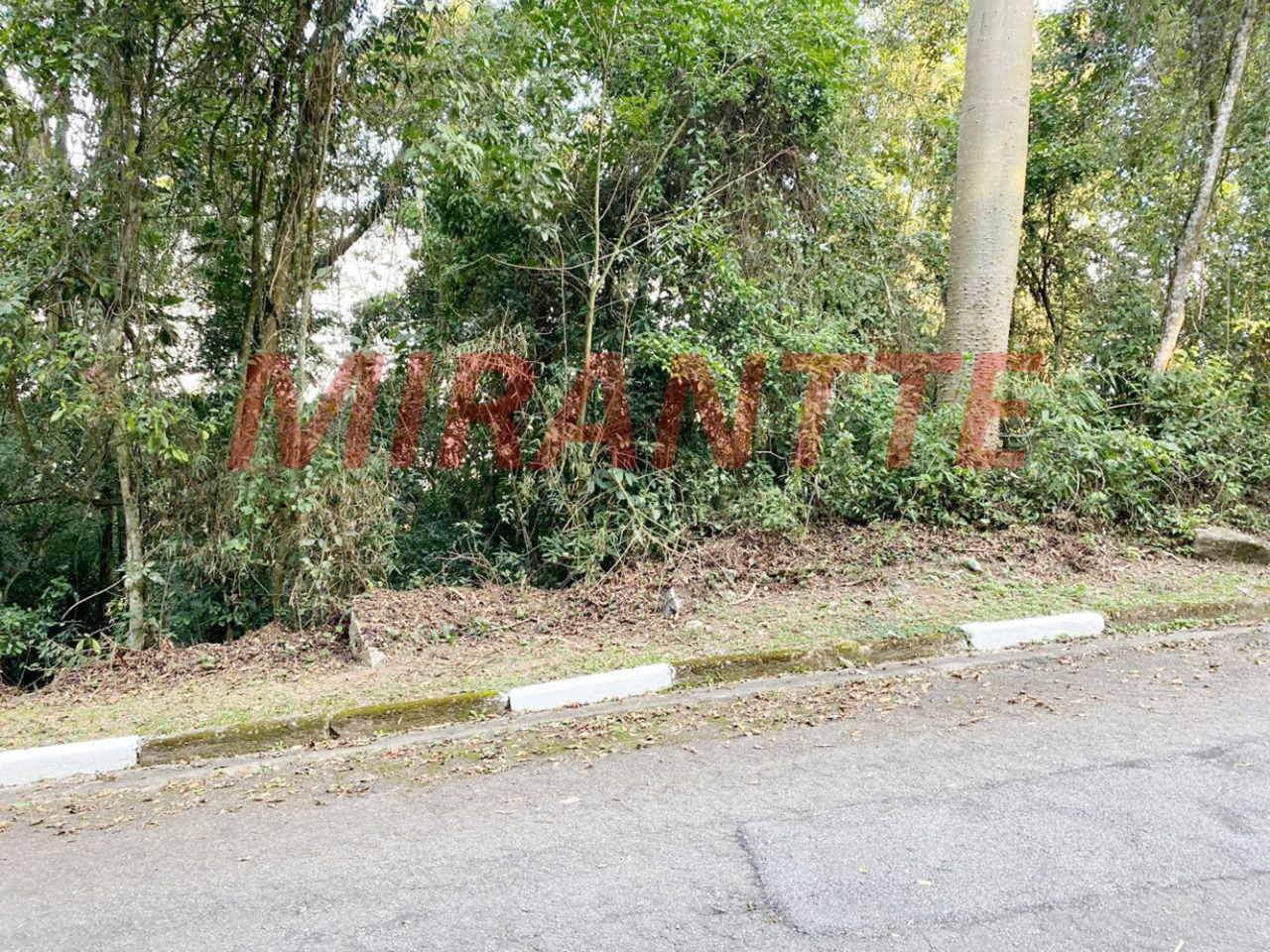 Terreno de m² em parque suiça