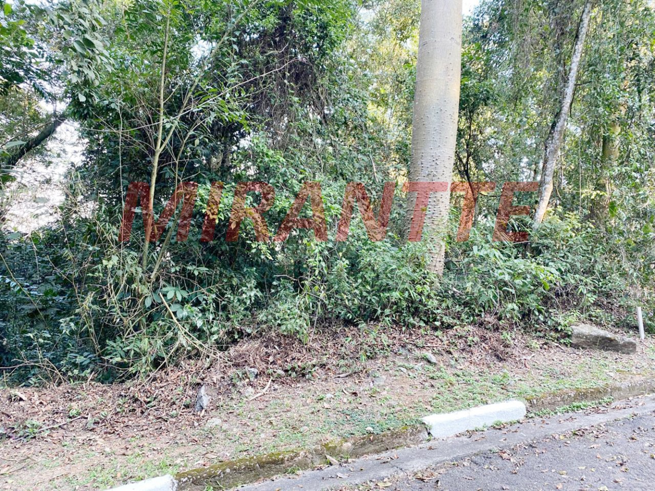 Terreno de m² em parque suiça