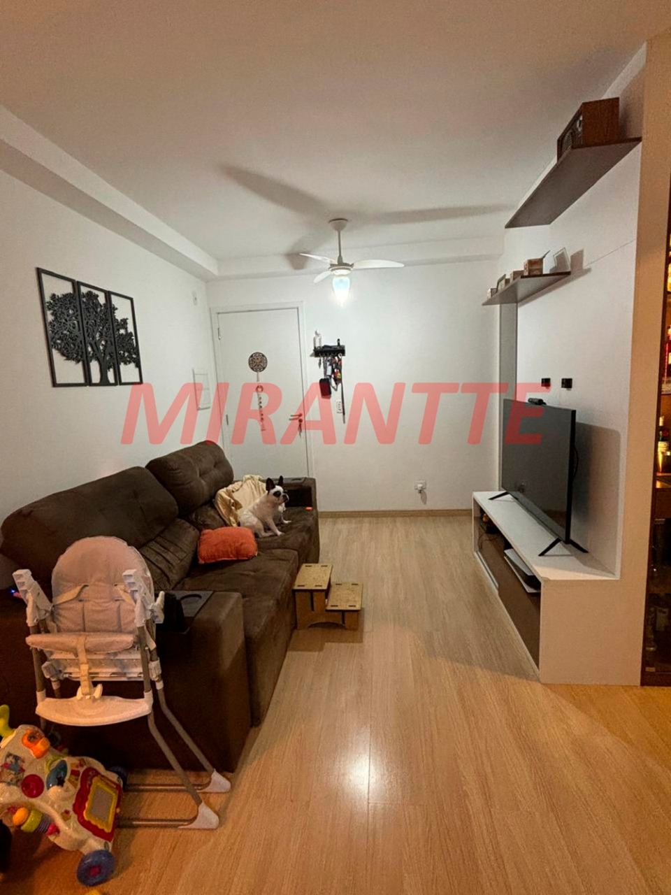 Apartamento de 54m² com 2 quartos em Parada Inglesa