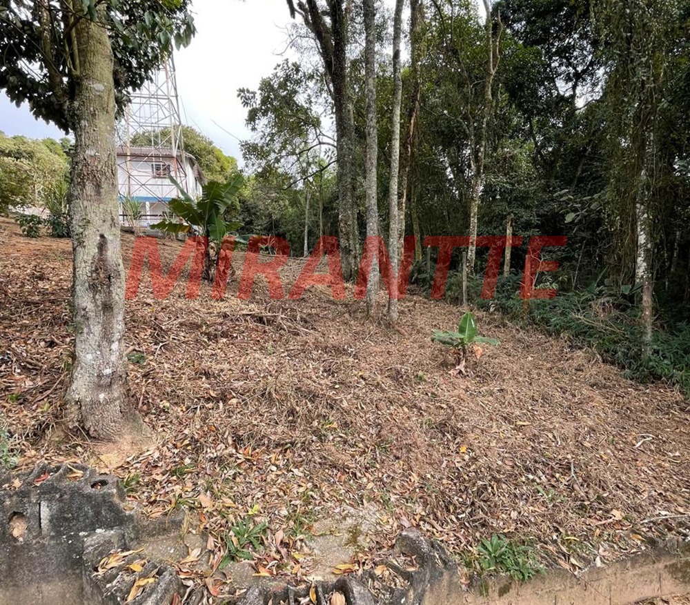 Terreno de 0m² em Santa Inês