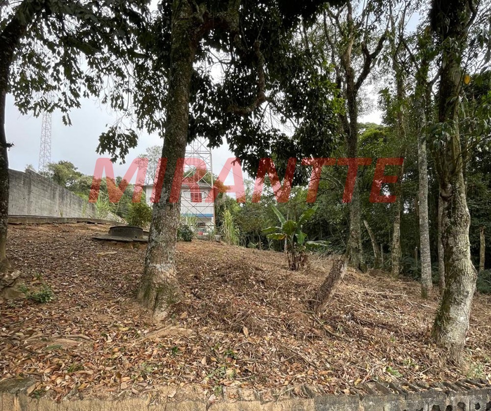 Terreno de 0m² em Santa Inês