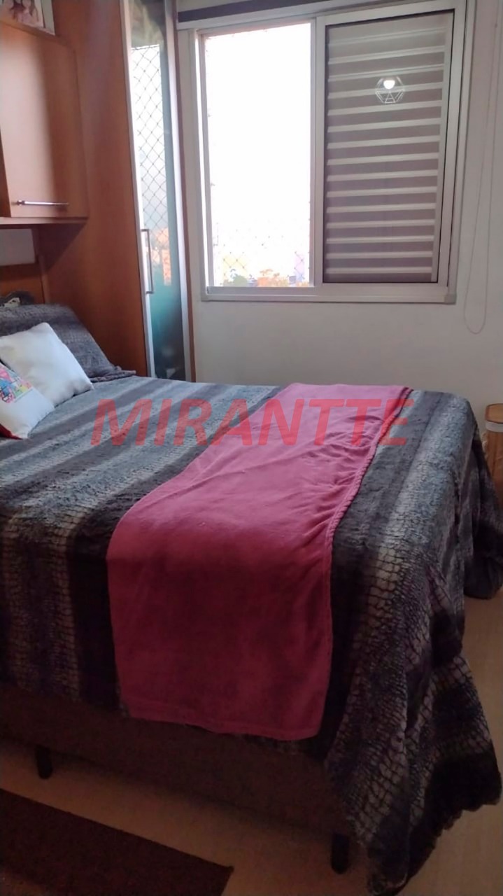 Apartamento de 55m² com 3 quartos em Vila Amelia