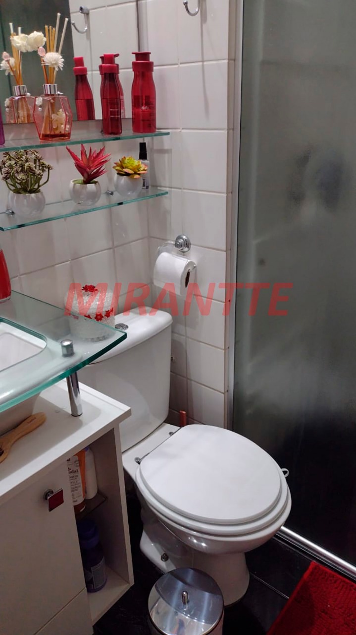 Apartamento de 55m² com 3 quartos em Vila Amelia